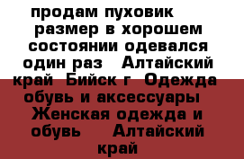 продам пуховик 42-44размер в хорошем состоянии.одевался один раз - Алтайский край, Бийск г. Одежда, обувь и аксессуары » Женская одежда и обувь   . Алтайский край